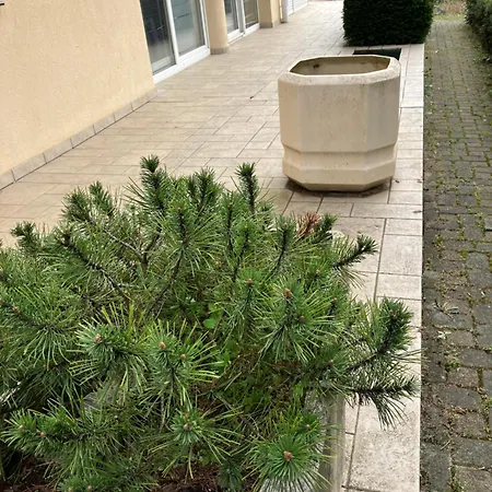 Apartment De Lux *