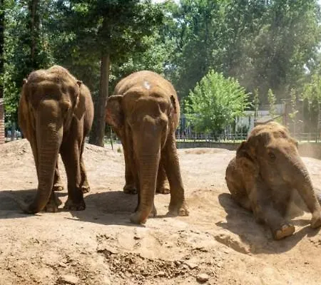 De Lux Nyíregyháza